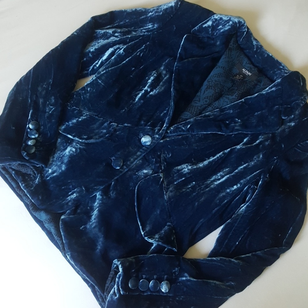 Velvet Blazer